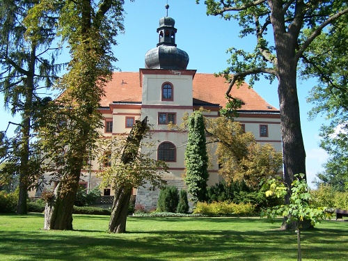Anglický park u zámku